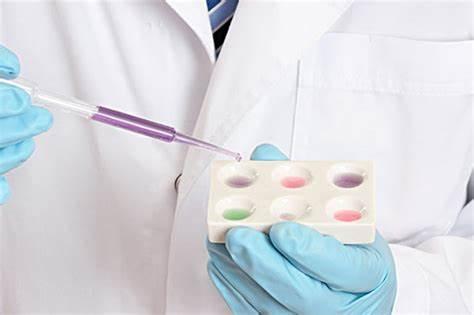 体外实验,体外实验成果概述