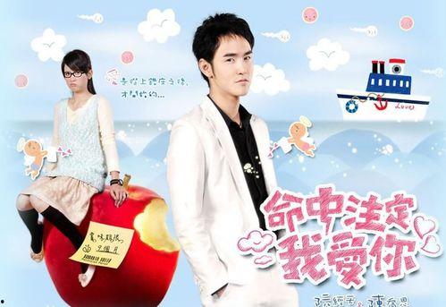 命中注定我嫁你,缘定三生，携手共度