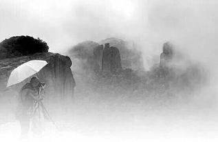 情谋云深不知雪,探寻神秘情谋世界