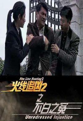 火线追凶2之不白之冤,揭开不白之冤的真相之谜