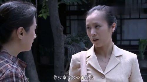 傻了吧我有一屋子美女房客,傻了吧！一屋子美女房客的奇妙生活