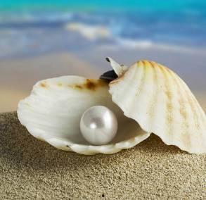 蚌女（珍珠房的秘密）